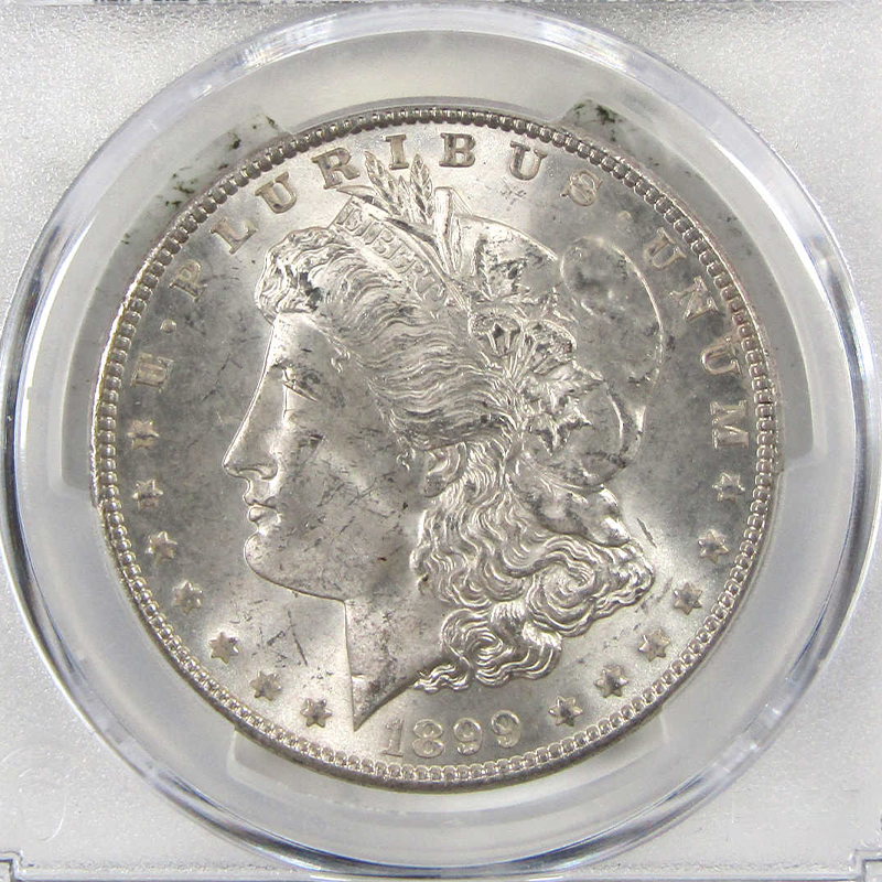 1899 Morgan Dollar