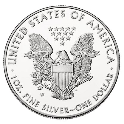 2008-W American Eagle Silver Dollar